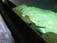 P4170144.JPG - 2005:04:17 11:34:15