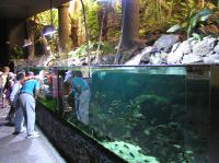 P4170145.JPG - 2005:04:17 11:34:21