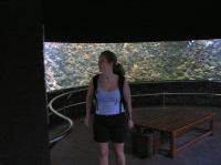 P4170147.JPG - 2005:04:17 11:34:25