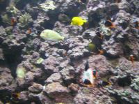 P4170148.JPG - 2005:04:17 11:34:40