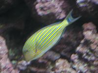 P4170149.JPG - 2005:04:17 11:34:50