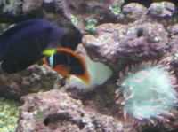 P4170150.JPG - 2005:04:17 11:34:56