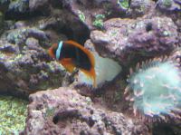 P4170151.JPG - 2005:04:17 11:34:58