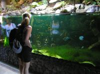 P4170152.JPG - 2005:04:17 11:35:15