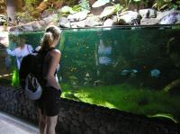 P4170153.JPG - 2005:04:17 11:35:15