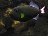 P4170159.JPG - 2005:04:17 11:36:51