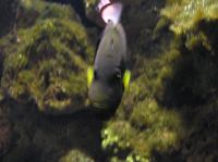 P4170162.JPG - 2005:04:17 11:37:06