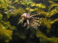 P4170163.JPG - 2005:04:17 11:37:45