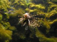 P4170164.JPG - 2005:04:17 11:37:46