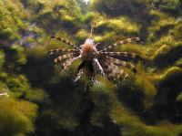 P4170165.JPG - 2005:04:17 11:37:48