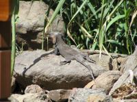 P4170167.JPG - 2005:04:17 11:40:50