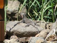 P4170168.JPG - 2005:04:17 11:40:51