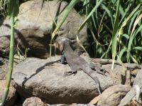 P4170169.JPG - 2005:04:17 11:40:54