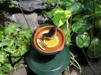 P4170171.JPG - 2005:04:17 11:43:26