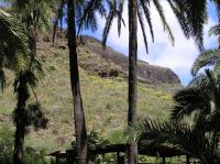 P4170180.JPG - 2005:04:17 12:13:40