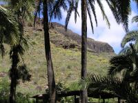 P4170181.JPG - 2005:04:17 12:13:41