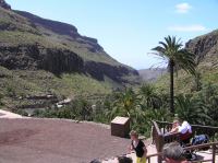 P4170183.JPG - 2005:04:17 12:32:01