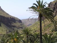 P4170184.JPG - 2005:04:17 12:32:16