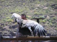 P4170188.JPG - 2005:04:17 12:39:32