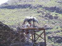 P4170189.JPG - 2005:04:17 12:39:39