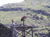 P4170190.JPG - 2005:04:17 12:40:09