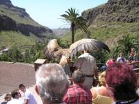 P4170193.JPG - 2005:04:17 12:41:27