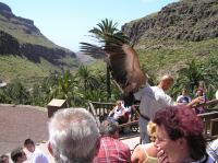 P4170194.JPG - 2005:04:17 12:41:28