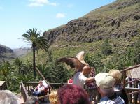 P4170195.JPG - 2005:04:17 12:41:28