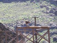 P4170196.JPG - 2005:04:17 12:42:26