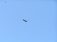 P4170198.JPG - 2005:04:17 12:44:10