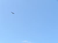 P4170199.JPG - 2005:04:17 12:44:14