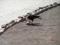 P4170201.JPG - 2005:04:17 12:44:37