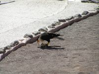 P4170202.JPG - 2005:04:17 12:44:38