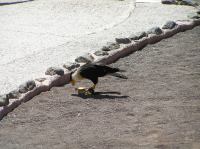 P4170203.JPG - 2005:04:17 12:44:39