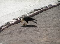 P4170204.JPG - 2005:04:17 12:44:39