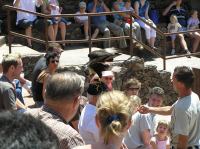 P4170206.JPG - 2005:04:17 12:44:57