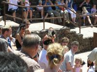 P4170207.JPG - 2005:04:17 12:44:58