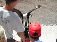 P4170208.JPG - 2005:04:17 12:45:06