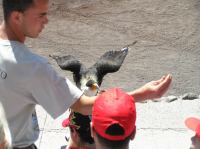 P4170209.JPG - 2005:04:17 12:45:07