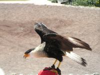 P4170210.JPG - 2005:04:17 12:45:09