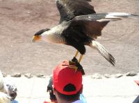 P4170211.JPG - 2005:04:17 12:45:10