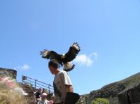 P4170218.JPG - 2005:04:17 12:45:47