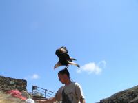 P4170220.JPG - 2005:04:17 12:45:48