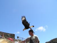 P4170221.JPG - 2005:04:17 12:45:49