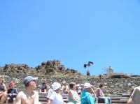 P4170222.JPG - 2005:04:17 12:45:54