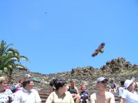 P4170223.JPG - 2005:04:17 12:45:55