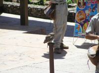 P4170224.JPG - 2005:04:17 12:50:03