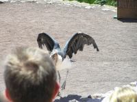 P4170235.JPG - 2005:04:17 13:49:42