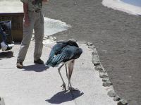 P4170236.JPG - 2005:04:17 13:49:50