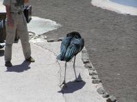 P4170237.JPG - 2005:04:17 13:49:51